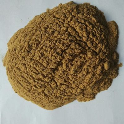 Voedingssupplement Zoeterpoeder Bruin Maltodextrine Voor Koffie Chocolade Cacao Dranken